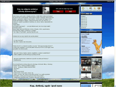 site screen shot
